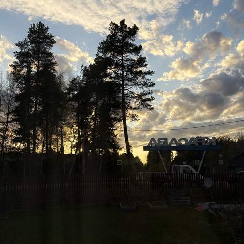 Photo #13753447