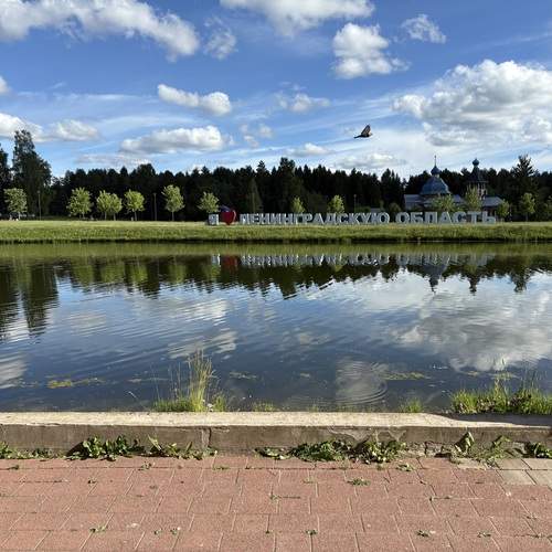Photo #13753448