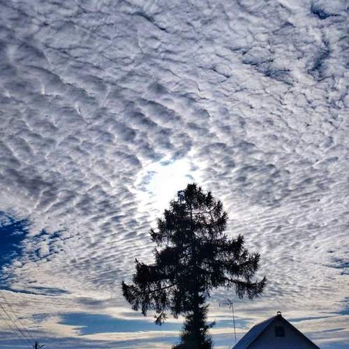 Photo #13753464
