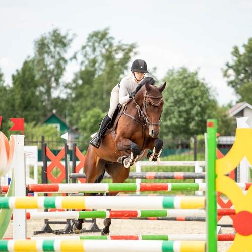 Photo #13753489