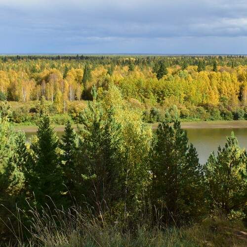 Photo #13753516