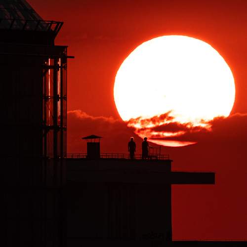 Photo #13753538