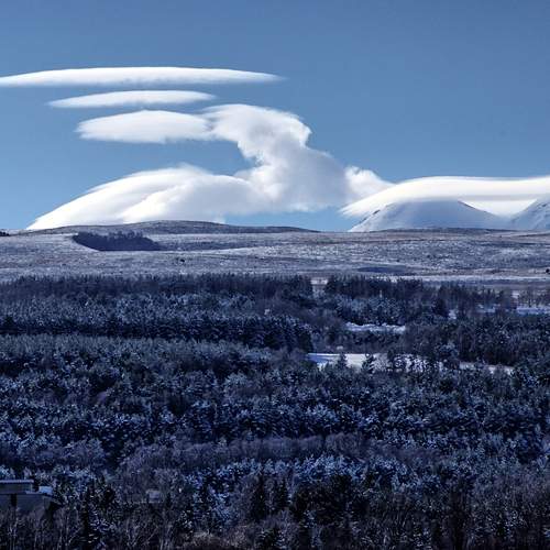 Photo #13753553