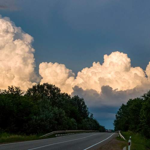 Photo #13753570