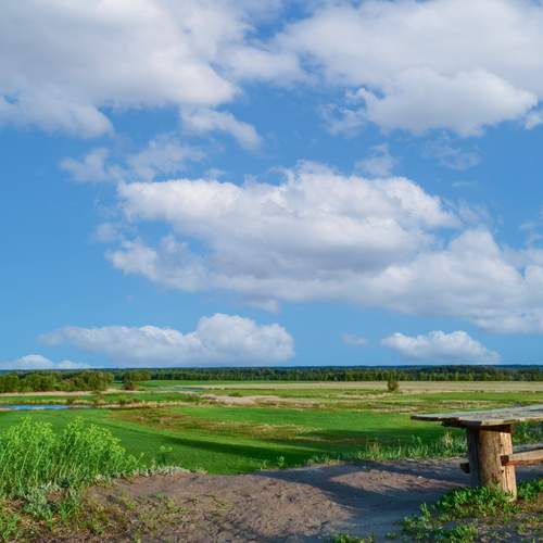 Photo #13753646