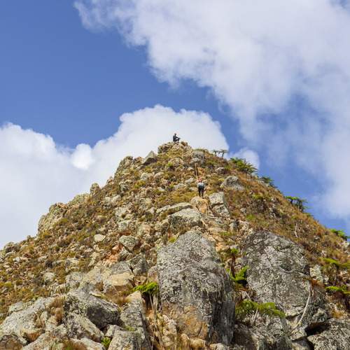 Photo #13753652