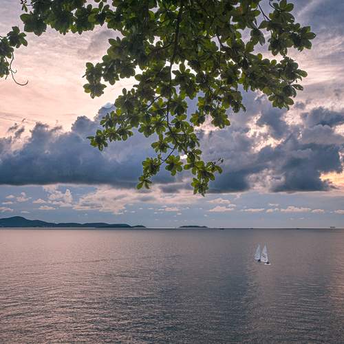 Photo #13753672