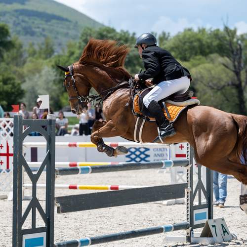 Photo #13753677