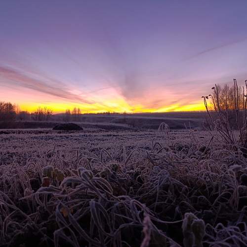 Photo #13753705