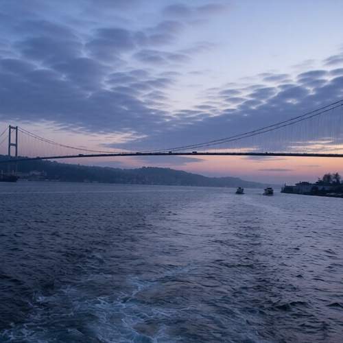Photo #13753746