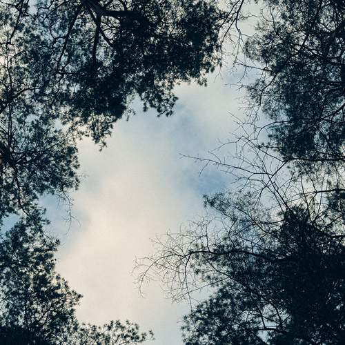 Photo #13753756
