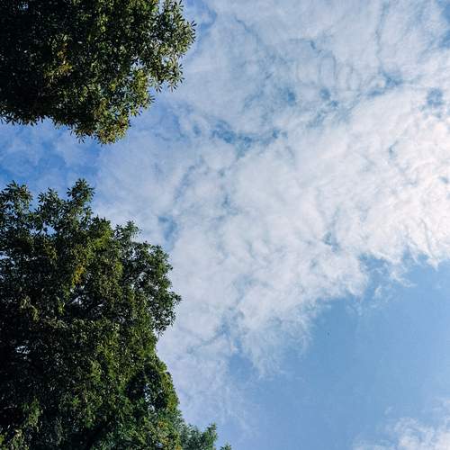 Photo #13753759