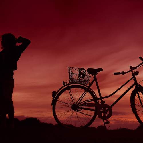 Photo #13753766