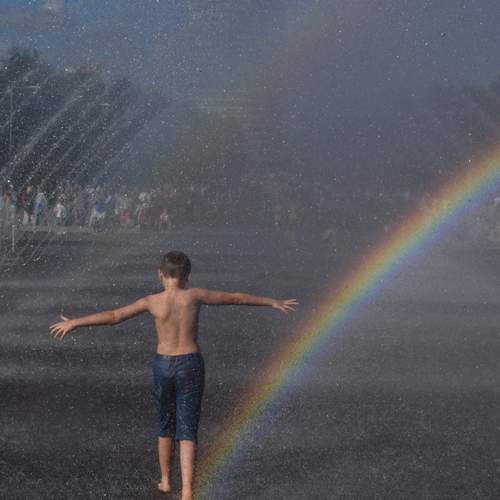Photo #13753782