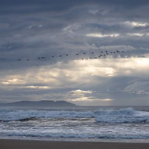 Photo #13753795