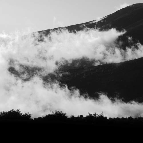 Photo #13753840
