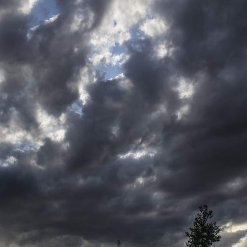 Photo #13753875