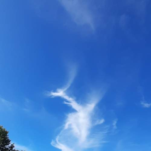 Photo #13753896