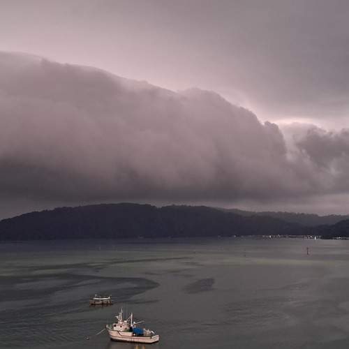 Photo #13754013