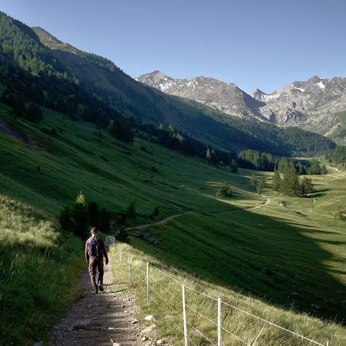 Photo #13754093