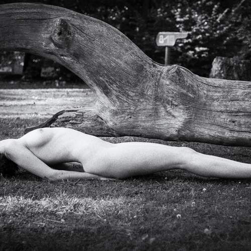 Photo #13754127