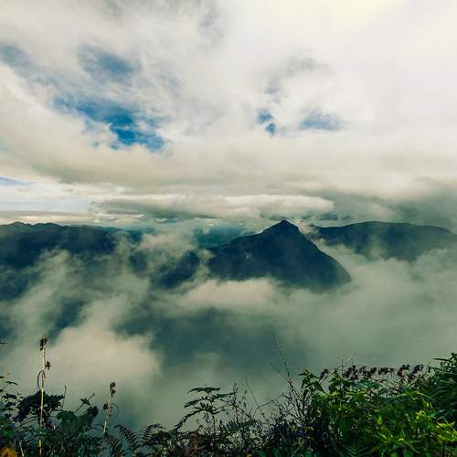 Photo #13754150