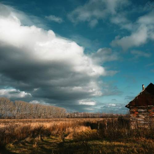 Photo #13754166