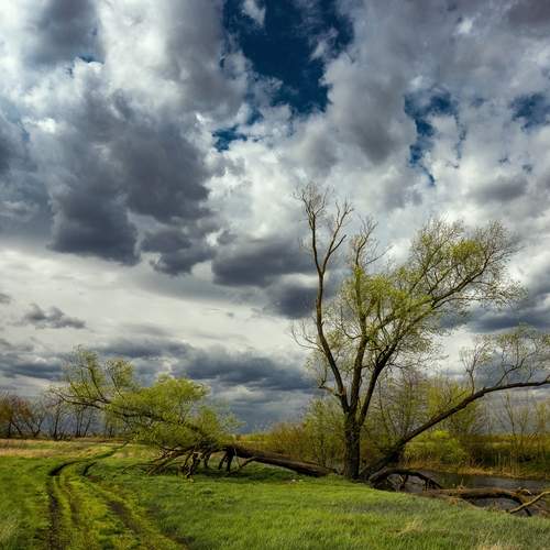 Photo #13754169
