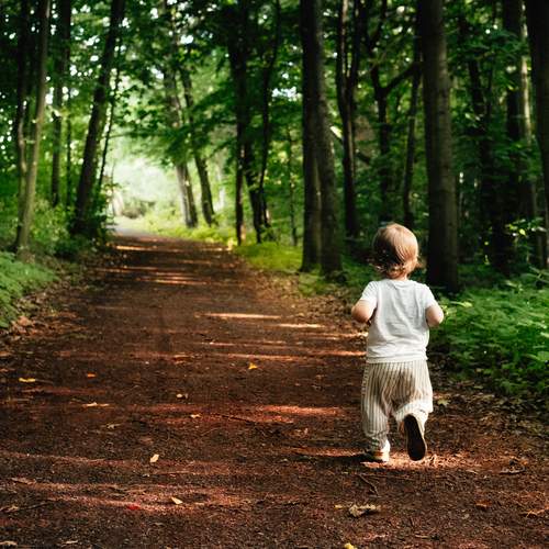 Photo #13754174