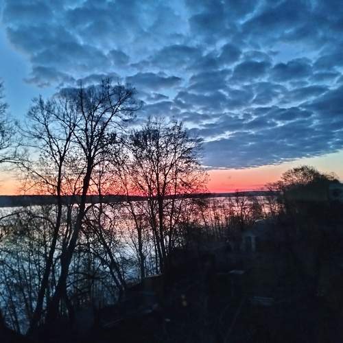 Photo #13754181