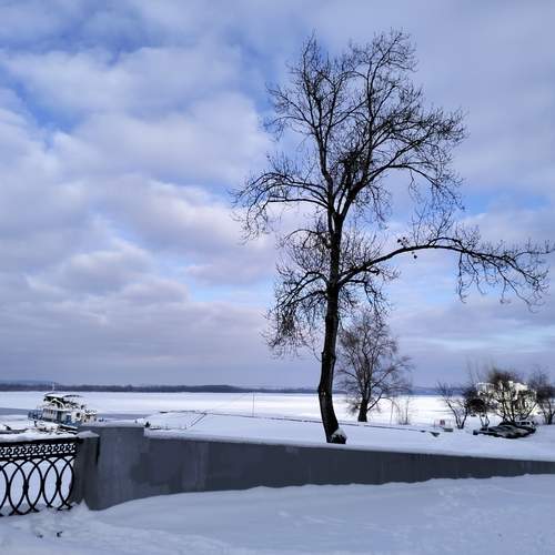 Photo #13754185