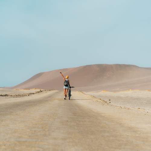 Photo #13754189