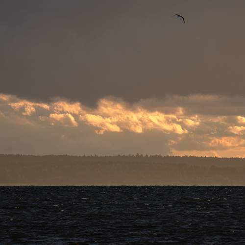 Photo #13754224