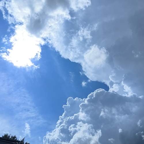 Photo #13754228