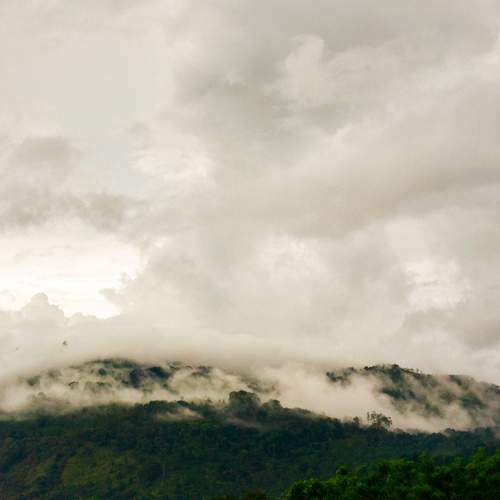 Photo #13754243