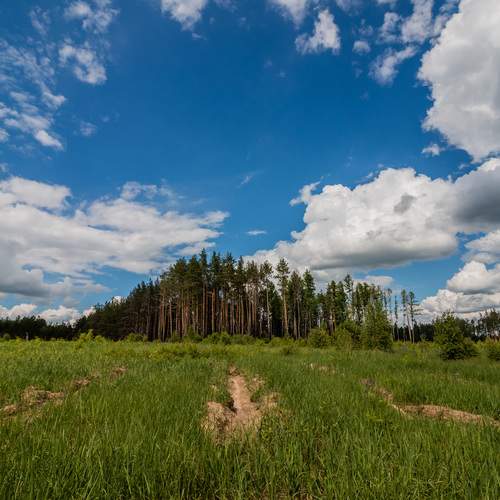 Photo #13754253