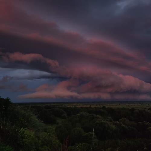 Photo #13754261