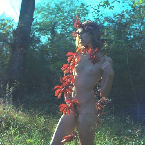 Photo #13754264