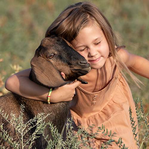 Photo #13754281