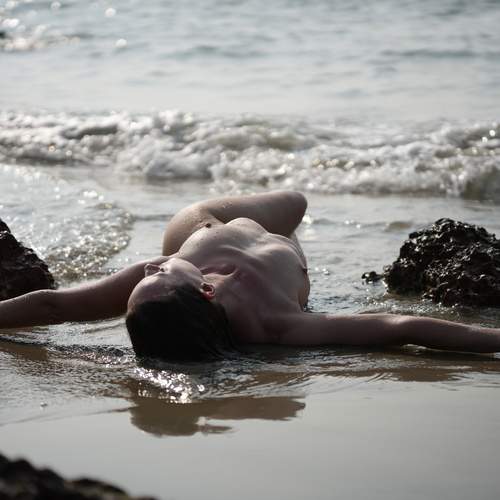 Photo #13754282