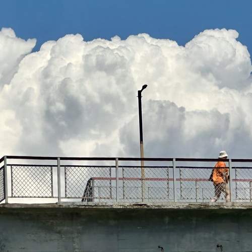 Photo #13754297
