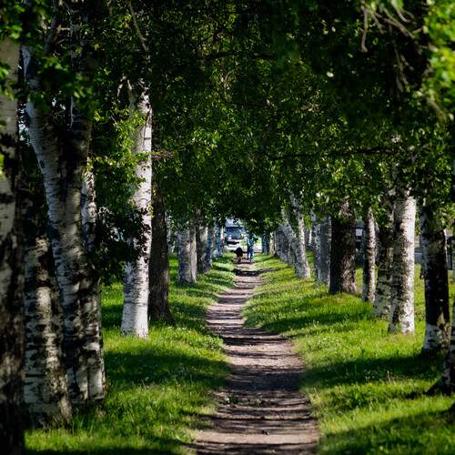 Photo #13754332