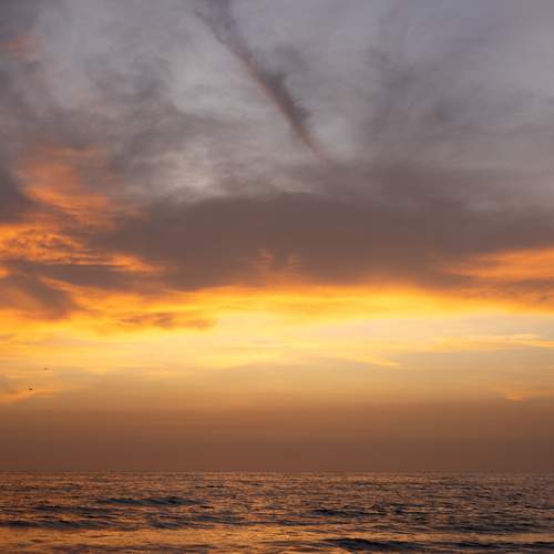 Photo #13754342