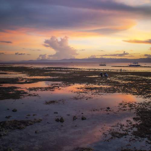 Photo #13754378