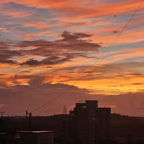 Photo #13754380