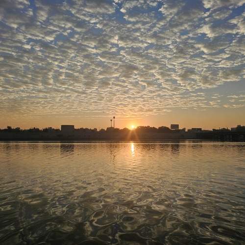 Photo #13754392