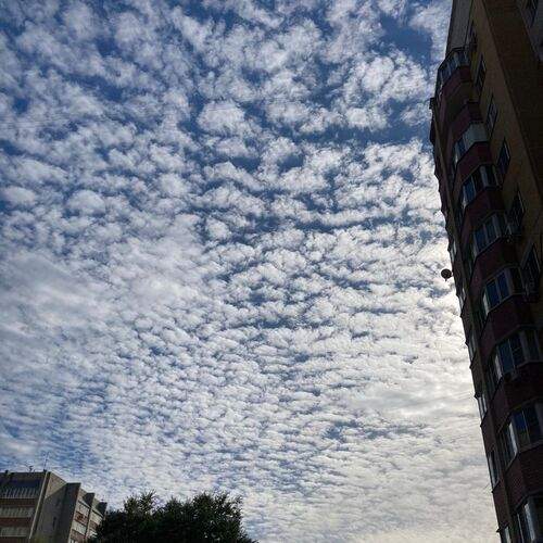 Photo #13754397