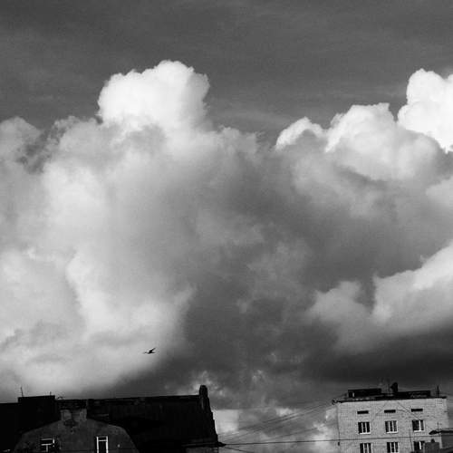 Photo #13754401