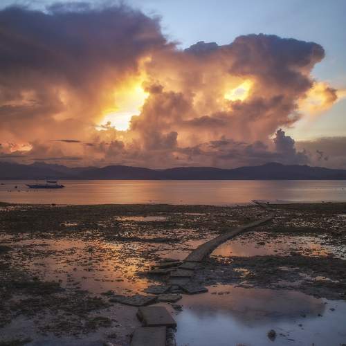 Photo #13754410