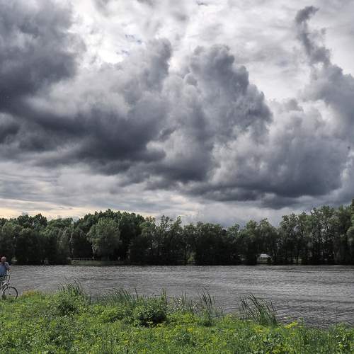 Photo #13754505
